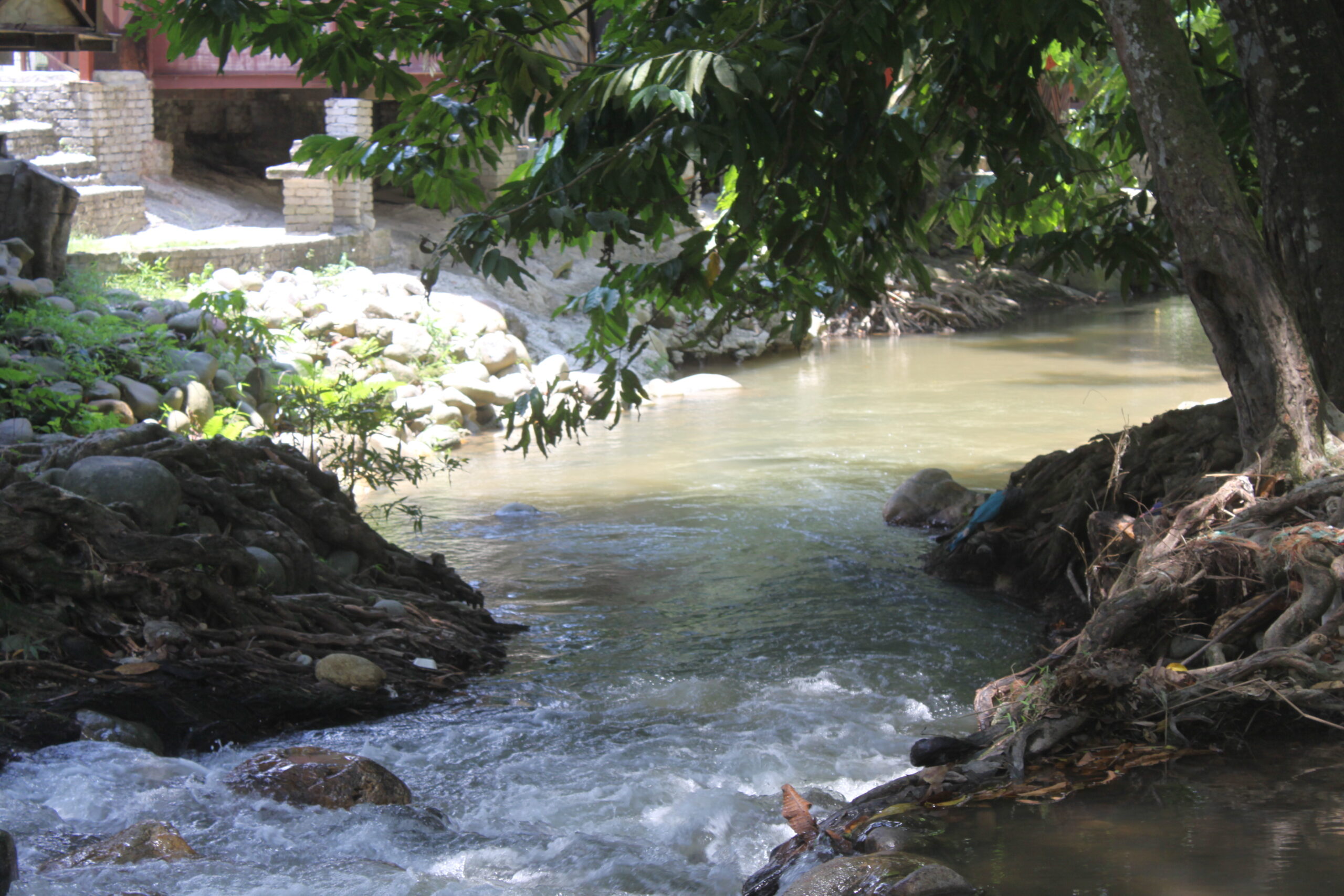 The Smith Family from UK - The Kampung Life - 9 Aug 2023 (68)