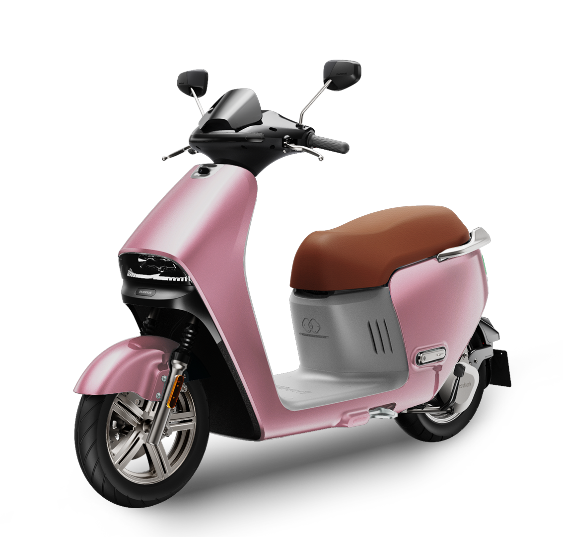 R1-Pink R1-Pink